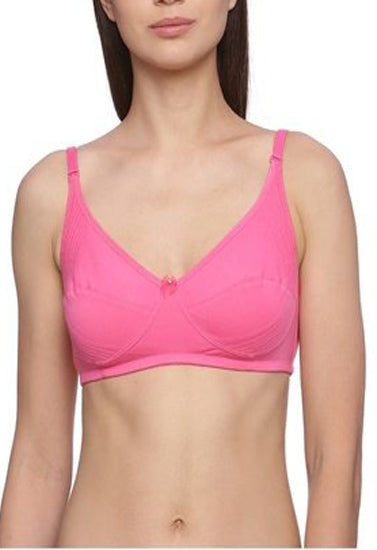 "Hushh" Magenta Comfy Plus Size Regular Use Bra