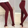 Maroon Tights - Women&#39;s Stylish Legwear